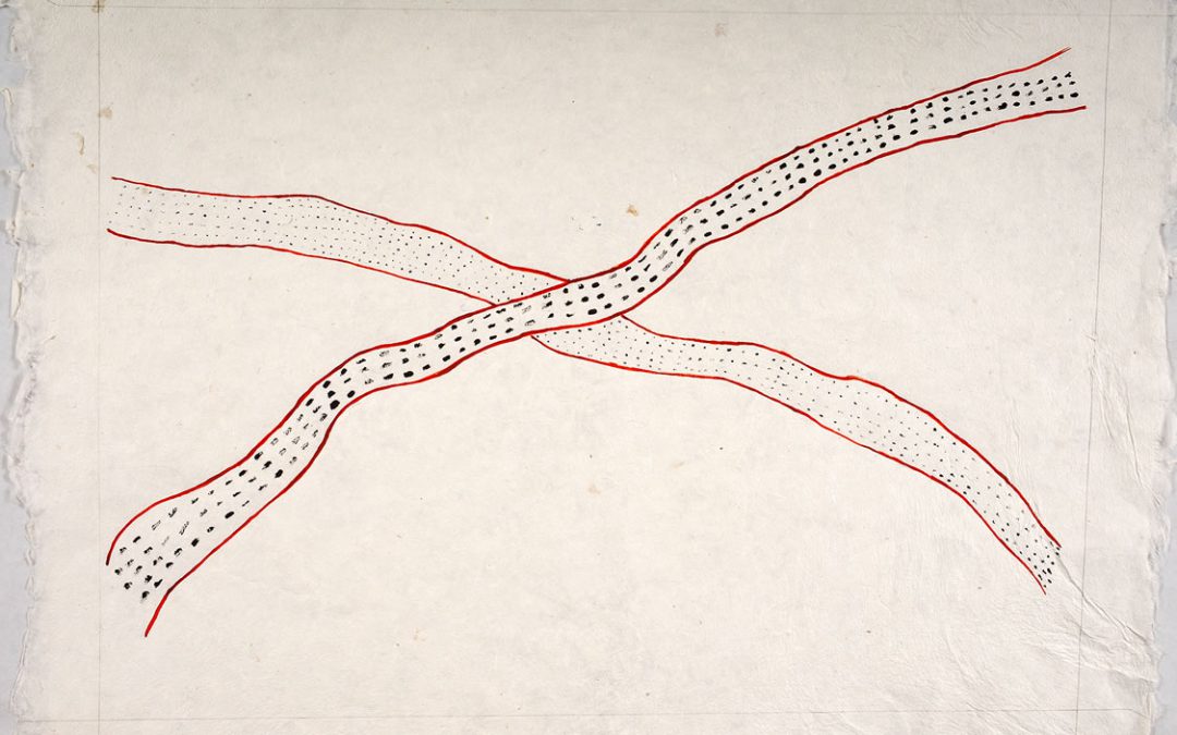 Puhi Tropao / sheroanawe hakihiiwe