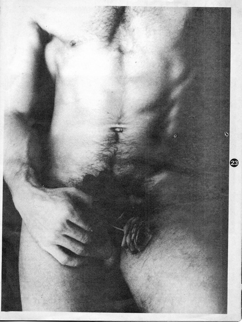 Julio Vengoechea. Desnudo. En: Entendido, año 1, no. 5, Caracas, marzo-abril, 1981, p. 23