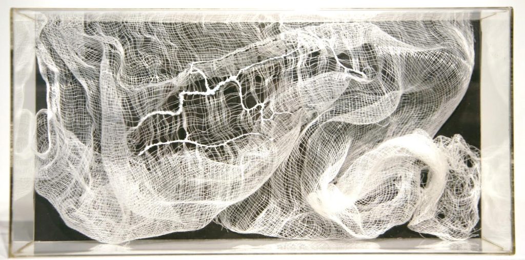 Lamis Feldman, Serie Gasas quirúrgicas, 2015