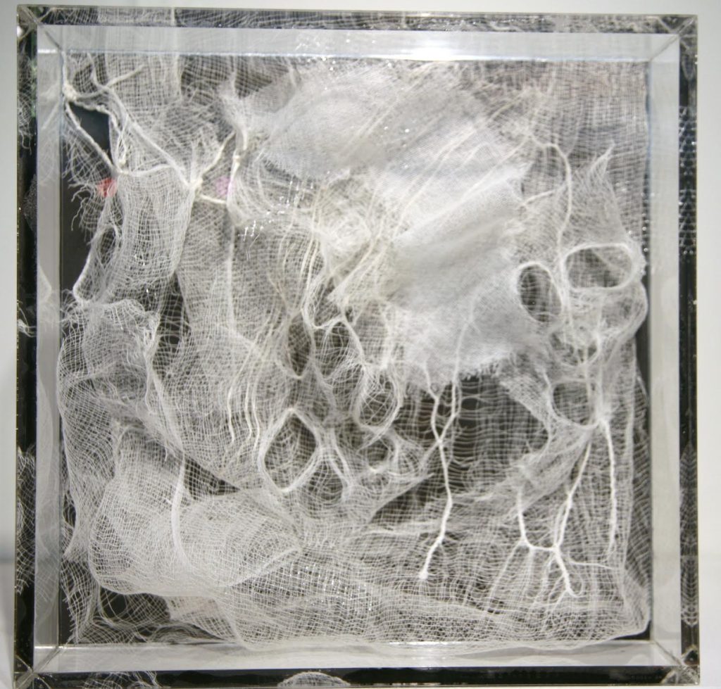 Lamis Feldman, Serie Gasas quirúrgicas, 2015