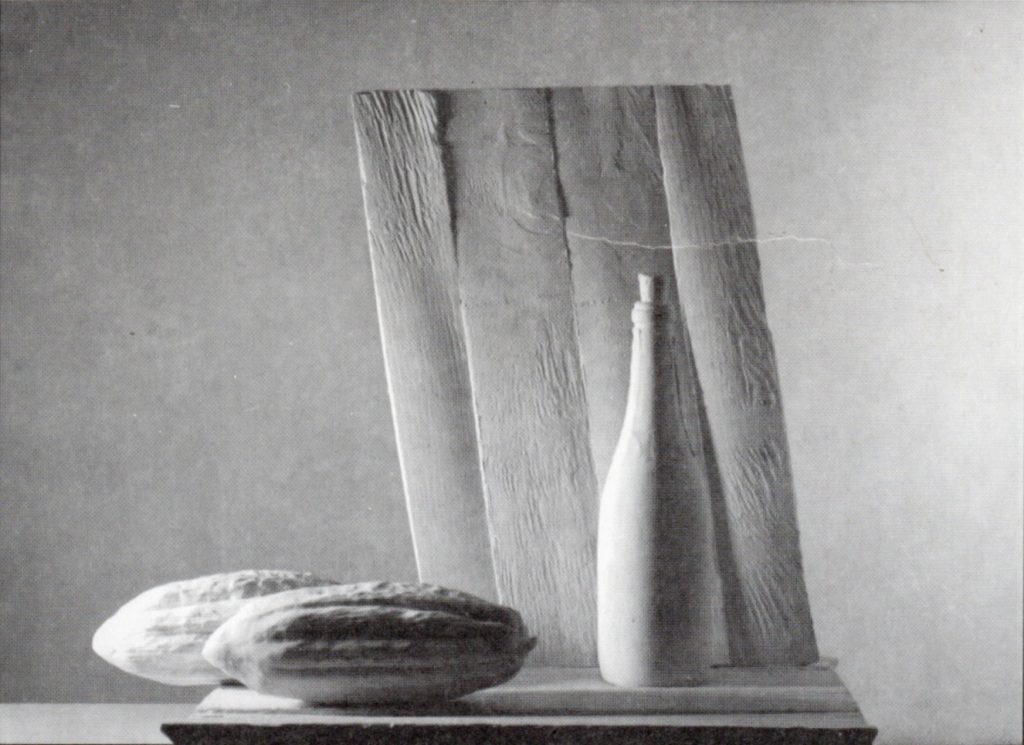 Lamis Feldman, Serie Gypsos, 1994