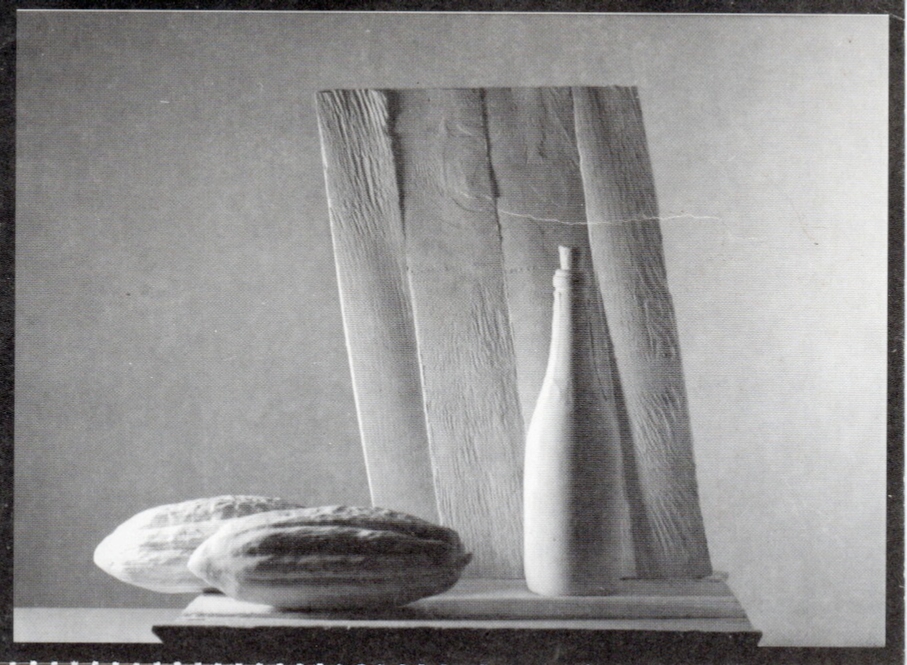 Lamis Feldman. Gypsos [folleto]. Dirección de Cultura, Universidad Metropolitana, Caracas, 1995.
