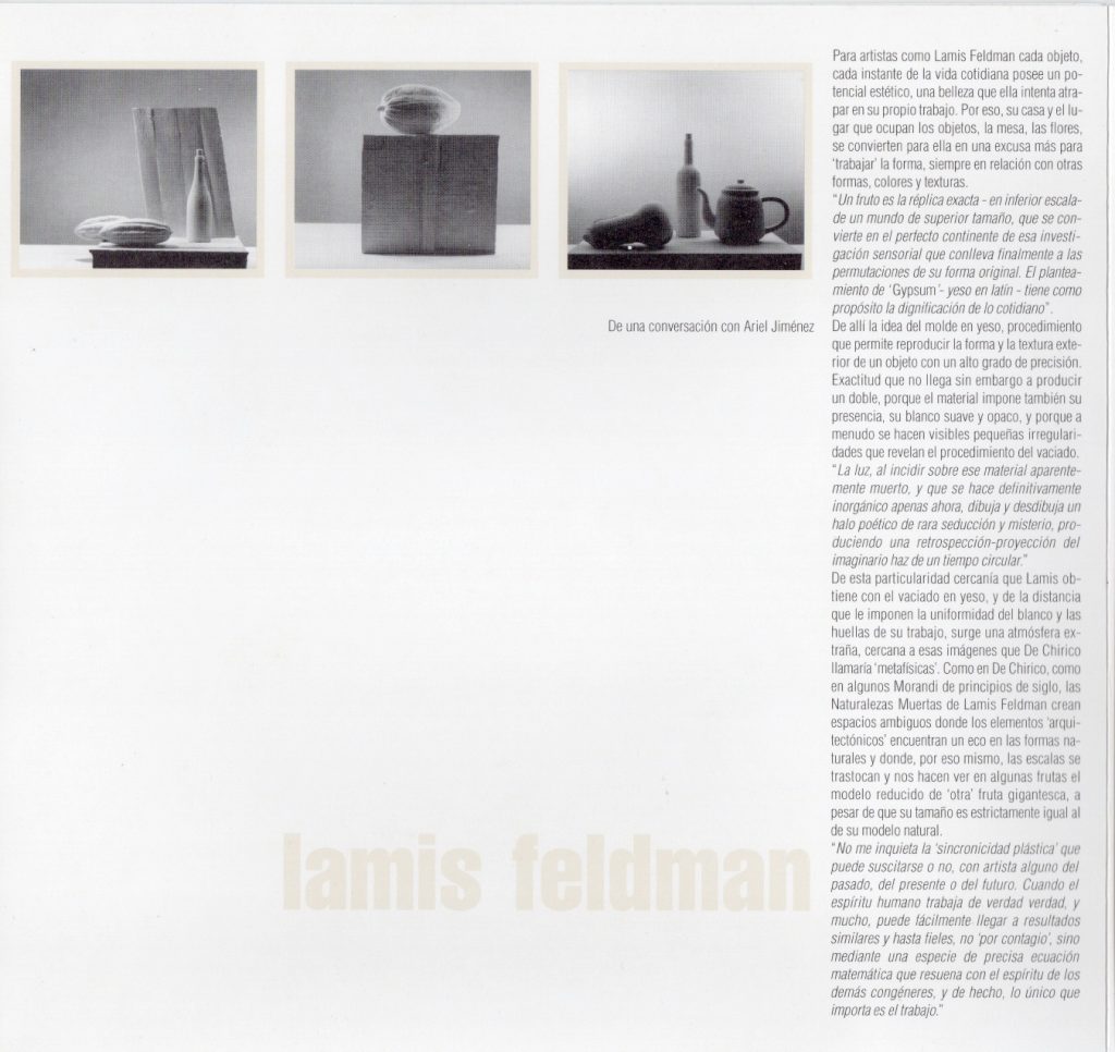 Lamis Feldman. Gypsum [catálogo de exposición]. Sala Mendoza, Caracas, 1994.