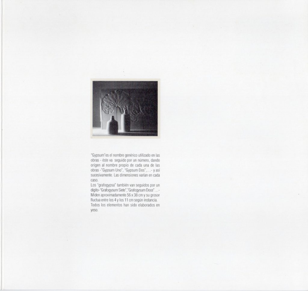 Lamis Feldman. Gypsum [catálogo de exposición]. Sala Mendoza, Caracas, 1994.
