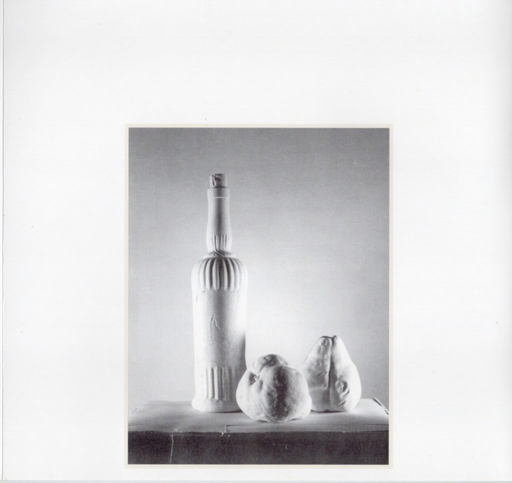 Lamis Feldman. Gypsum [catálogo de exposición]. Sala Mendoza, Caracas, 1994.