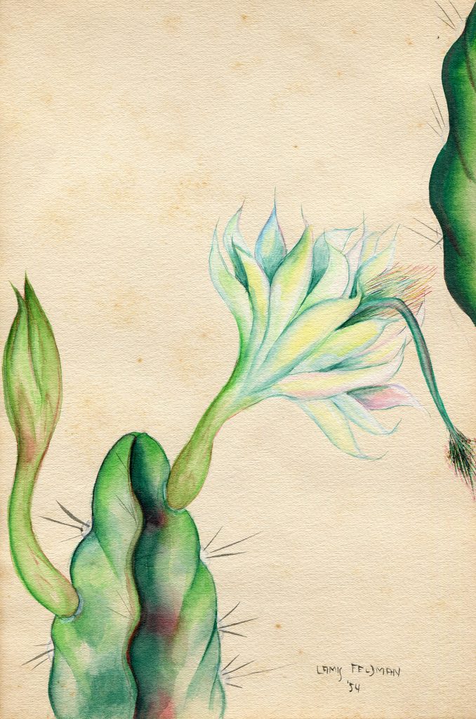 Lamis Feldman. Serie de acuarelas de flores, realizadas en 1948.