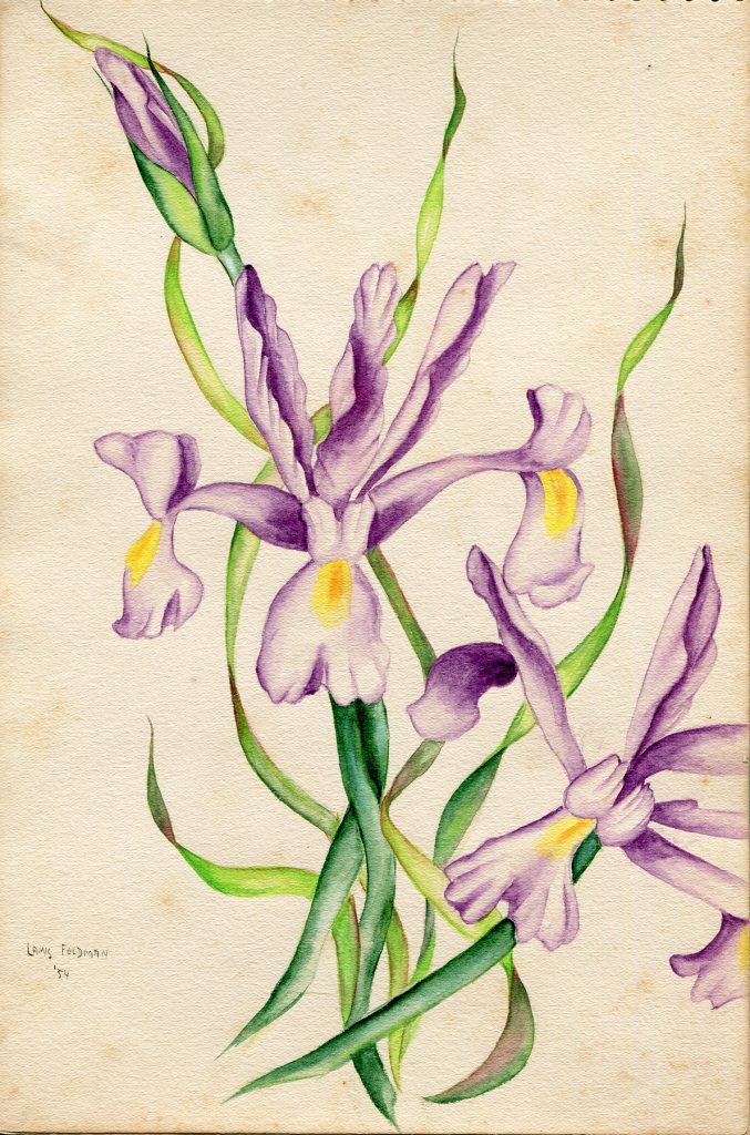 Lamis Feldman. Serie de acuarelas de flores, realizadas en 1948.