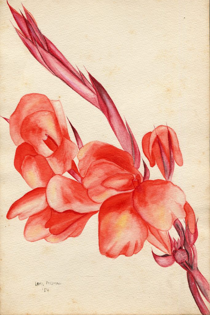 Lamis Feldman. Serie de acuarelas de flores, realizadas en 1948.