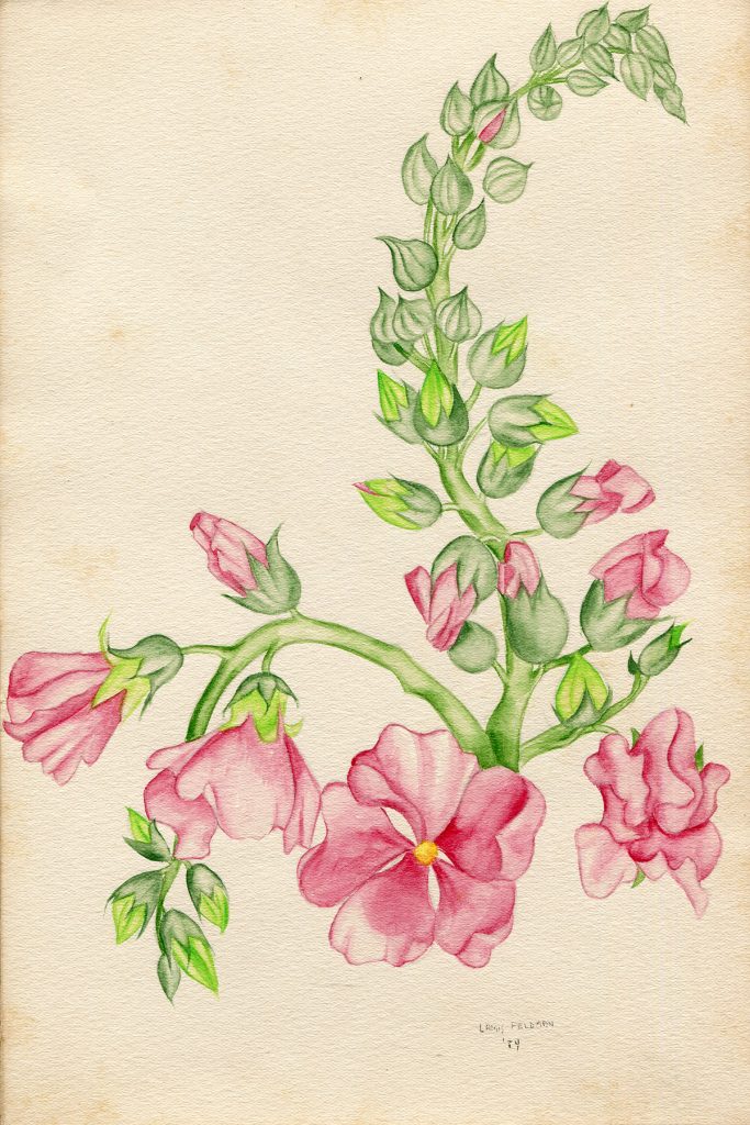 Lamis Feldman. Serie de acuarelas de flores, realizadas en 1948.