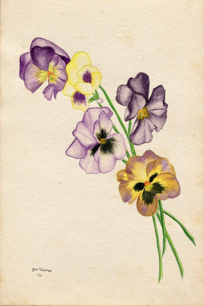 Lamis Feldman. Serie de acuarelas de flores, realizadas en 1948.