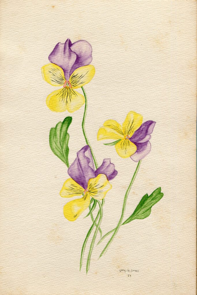 Lamis Feldman. Serie de acuarelas de flores, realizadas en 1948.