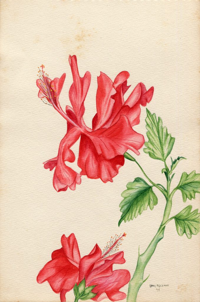 Lamis Feldman. Serie de acuarelas de flores, realizadas en 1948.