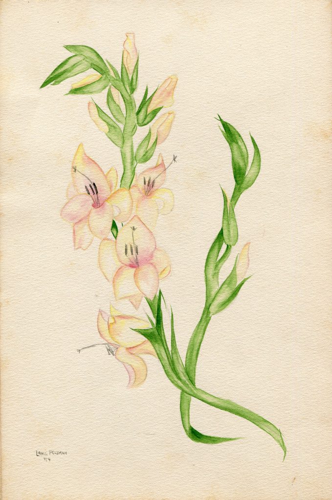 Lamis Feldman. Serie de acuarelas de flores, realizadas en 1948.