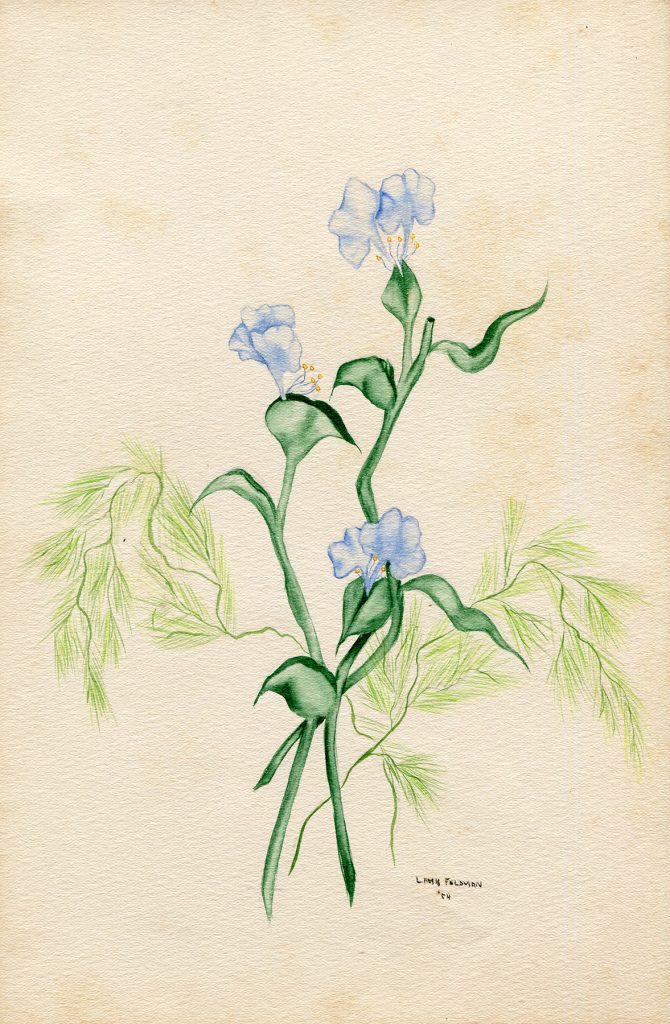 Lamis Feldman. Serie de acuarelas de flores, realizadas en 1948.