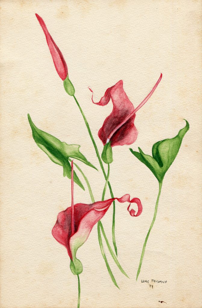 Lamis Feldman. Serie de acuarelas de flores, realizadas en 1948.