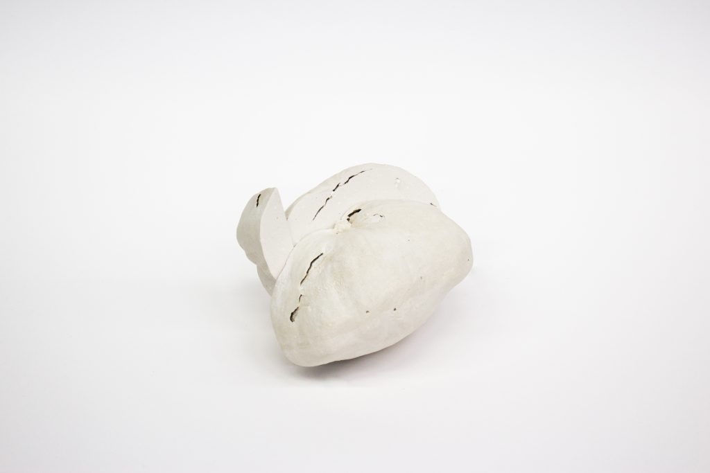 Lamis Feldman, Serie Gypsos, 1994