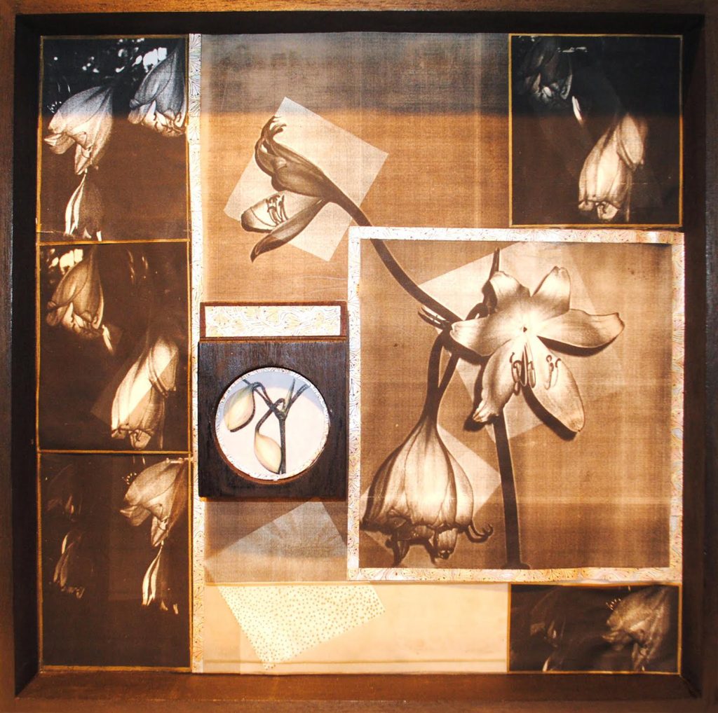 Lamis Feldman, Serie Lontananzas, 1999