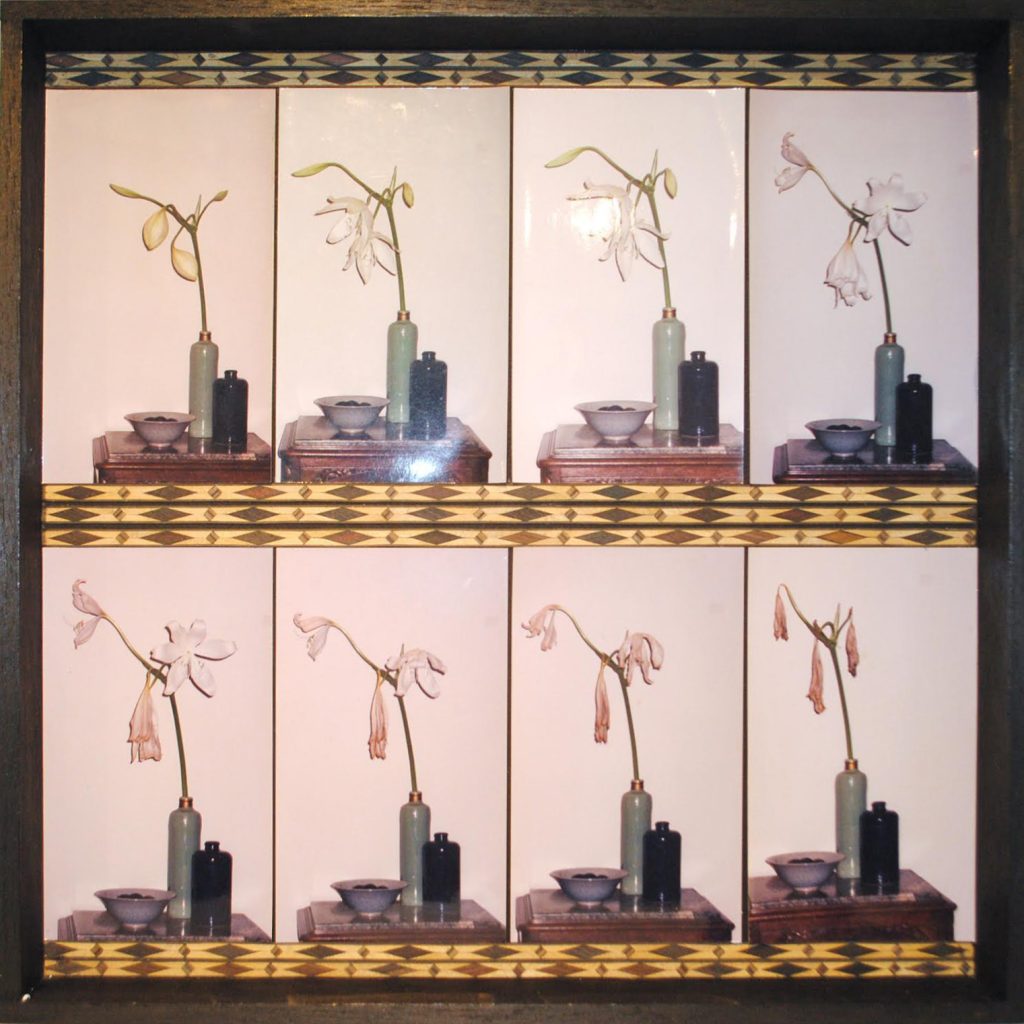 Lamis Feldman, Serie Lontananzas, 1999