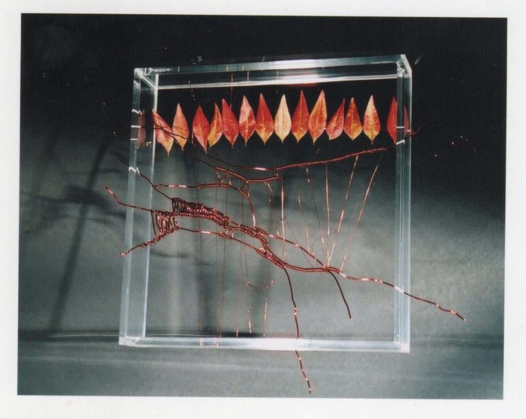 Lamis Feldman, Serie Escrituras entretejidas, 2002. Fotografías de Charlie Riera y Reinaldo Armas
