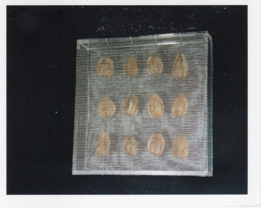 Lamis Feldman, Serie Escrituras entretejidas, 2002. Fotografías de Charlie Riera y Reinaldo Armas