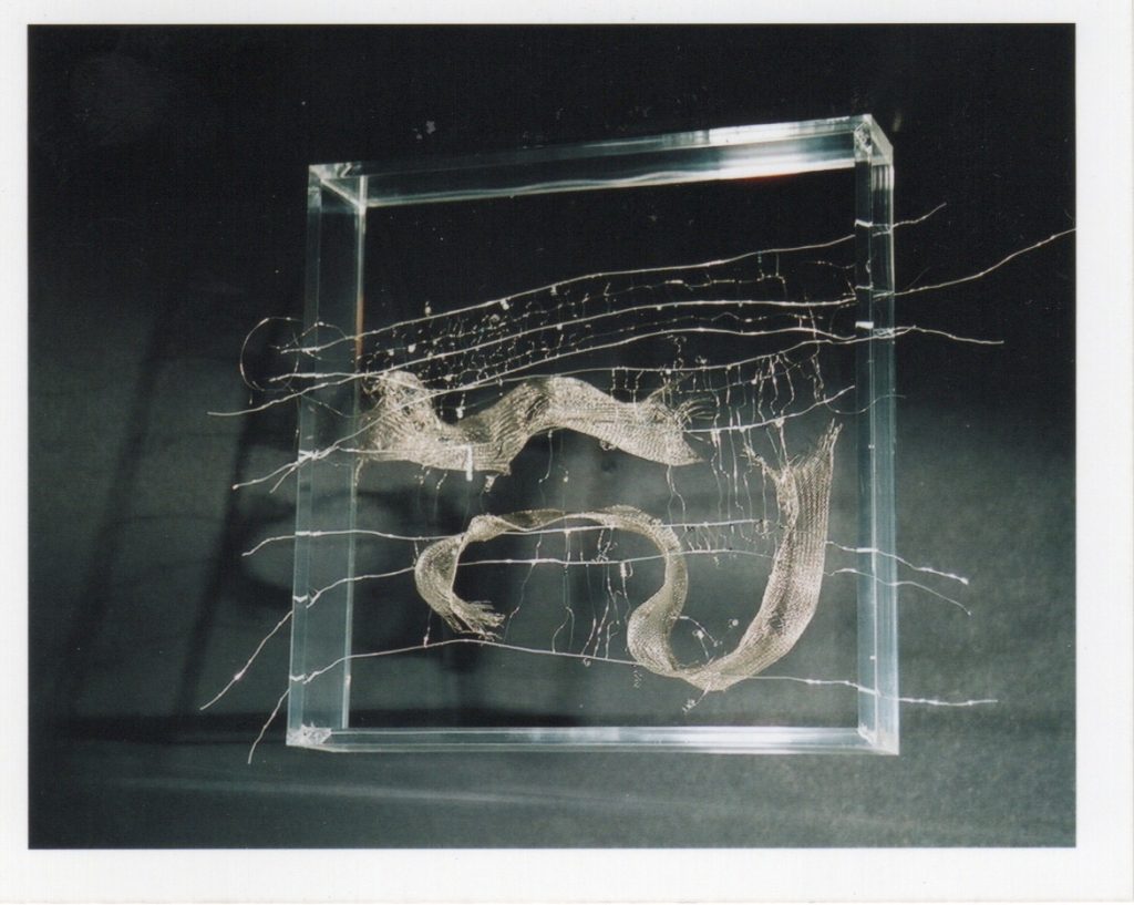 Lamis Feldman, Serie Escrituras entretejidas, 2002. Fotografías de Charlie Riera y Reinaldo Armas