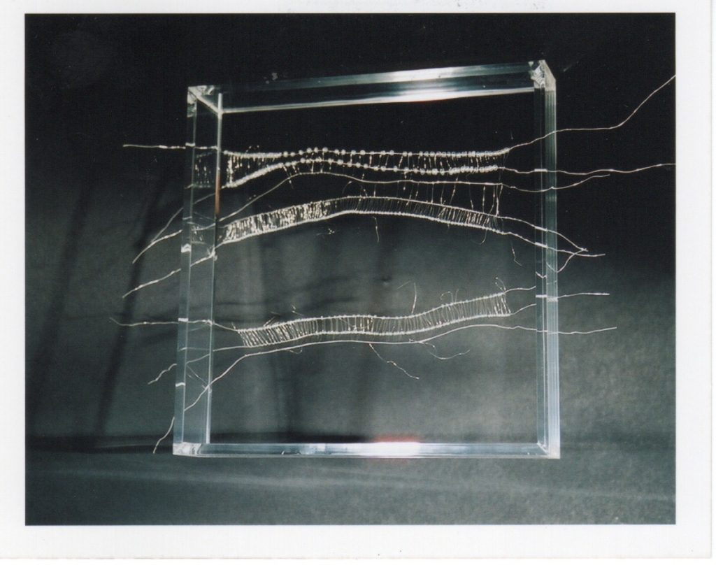 Lamis Feldman, Serie Escrituras entretejidas, 2002. Fotografías de Charlie Riera y Reinaldo Armas