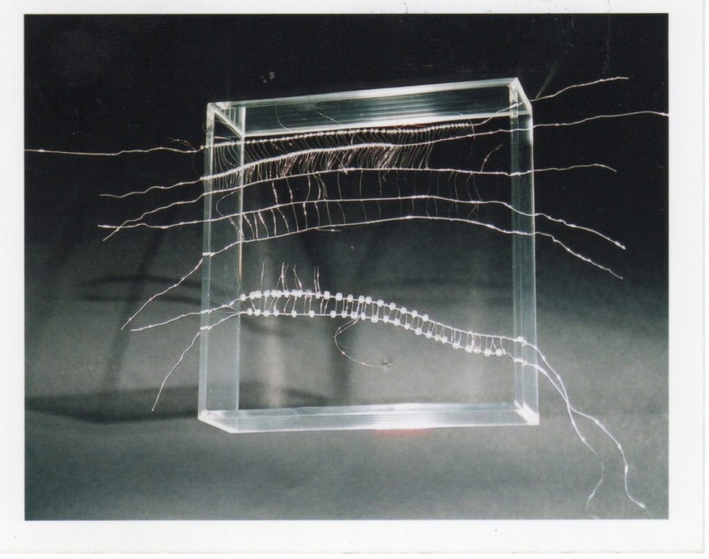 Lamis Feldman, Serie Escrituras entretejidas, 2002. Fotografías de Charlie Riera y Reinaldo Armas
