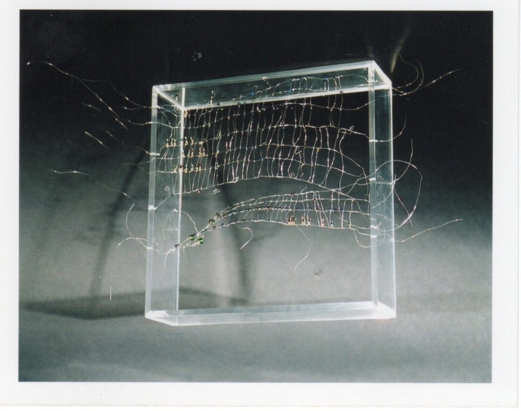 Lamis Feldman, Serie Escrituras entretejidas, 2002. Fotografías de Charlie Riera y Reinaldo Armas