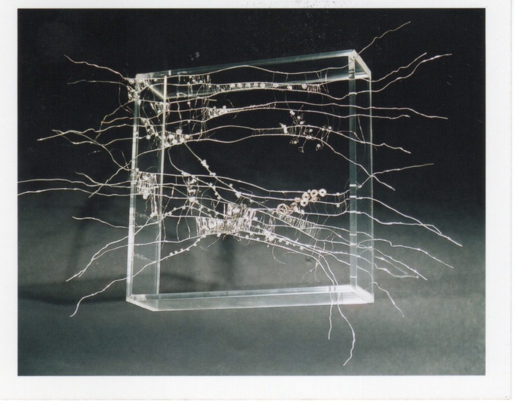 Lamis Feldman, Serie Escrituras entretejidas, 2002. Fotografías de Charlie Riera y Reinaldo Armas
