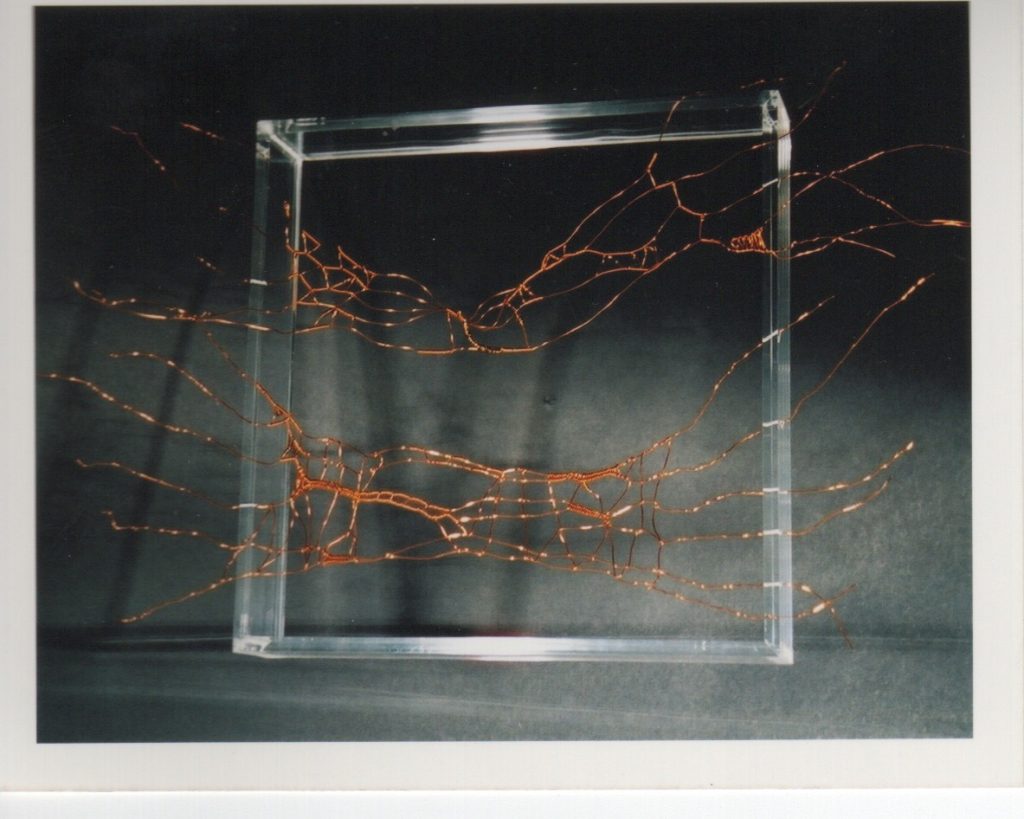 Lamis Feldman, Serie Escrituras entretejidas, 2002. Fotografías de Charlie Riera y Reinaldo Armas