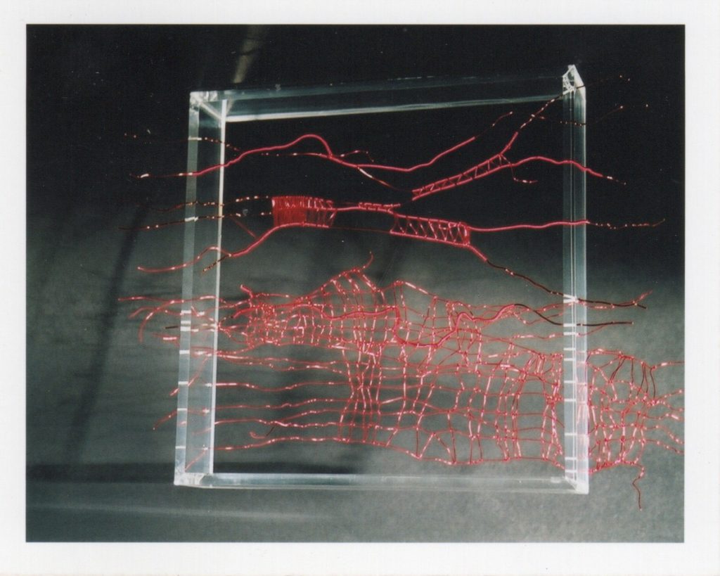 Lamis Feldman, Serie Escrituras entretejidas, 2002. Fotografías de Charlie Riera y Reinaldo Armas