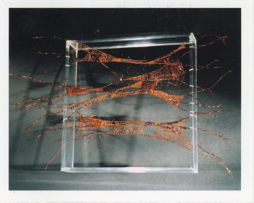 Lamis Feldman, Serie Escrituras entretejidas, 2002. Fotografías de Charlie Riera y Reinaldo Armas
