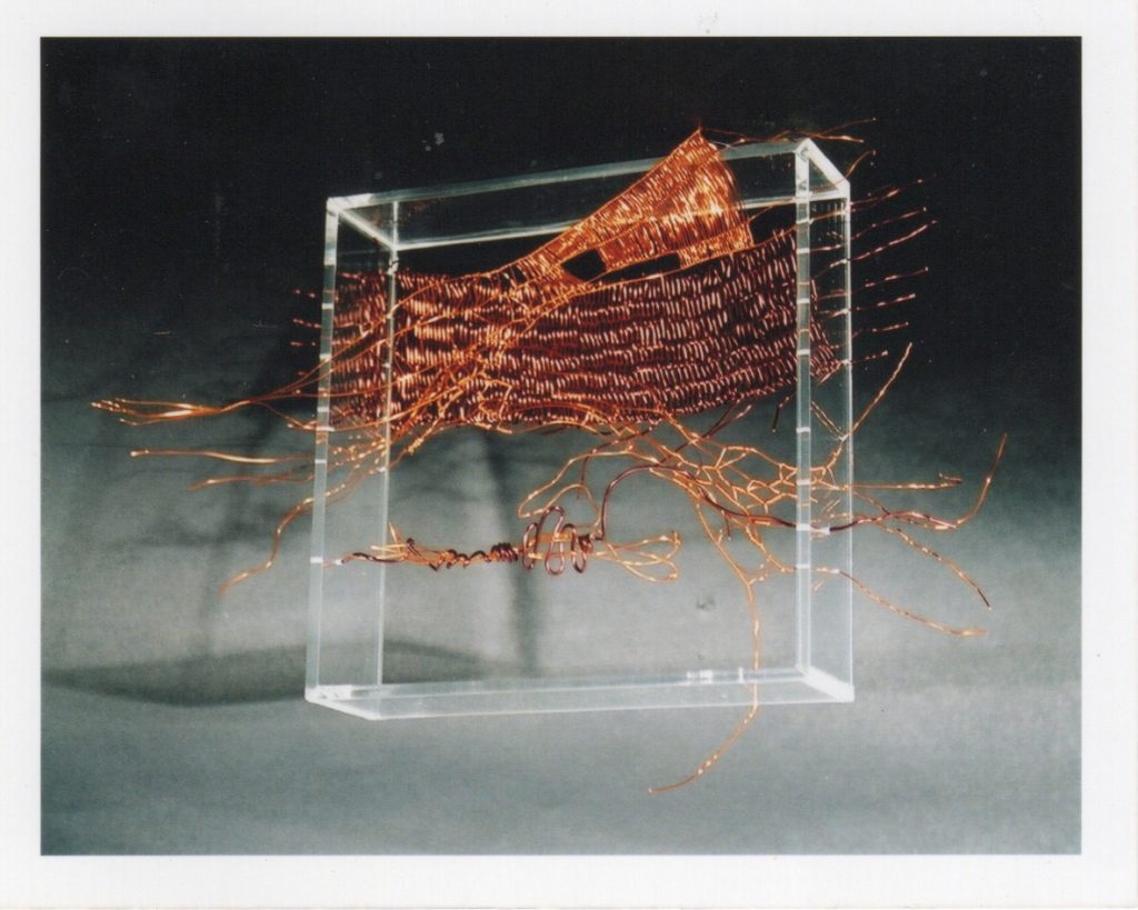 Lamis Feldman, Serie Escrituras entretejidas, 2002. Fotografías de Charlie Riera y Reinaldo Armas