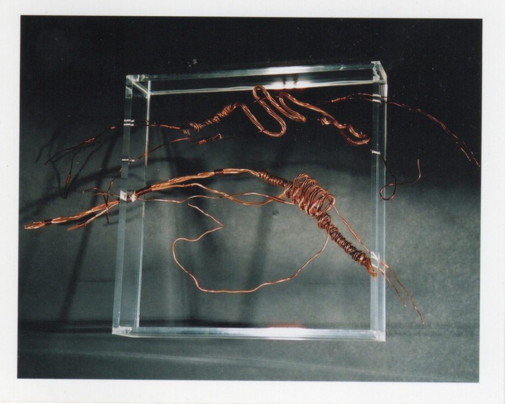 Lamis Feldman, Serie Escrituras entretejidas, 2002. Fotografías de Charlie Riera y Reinaldo Armas