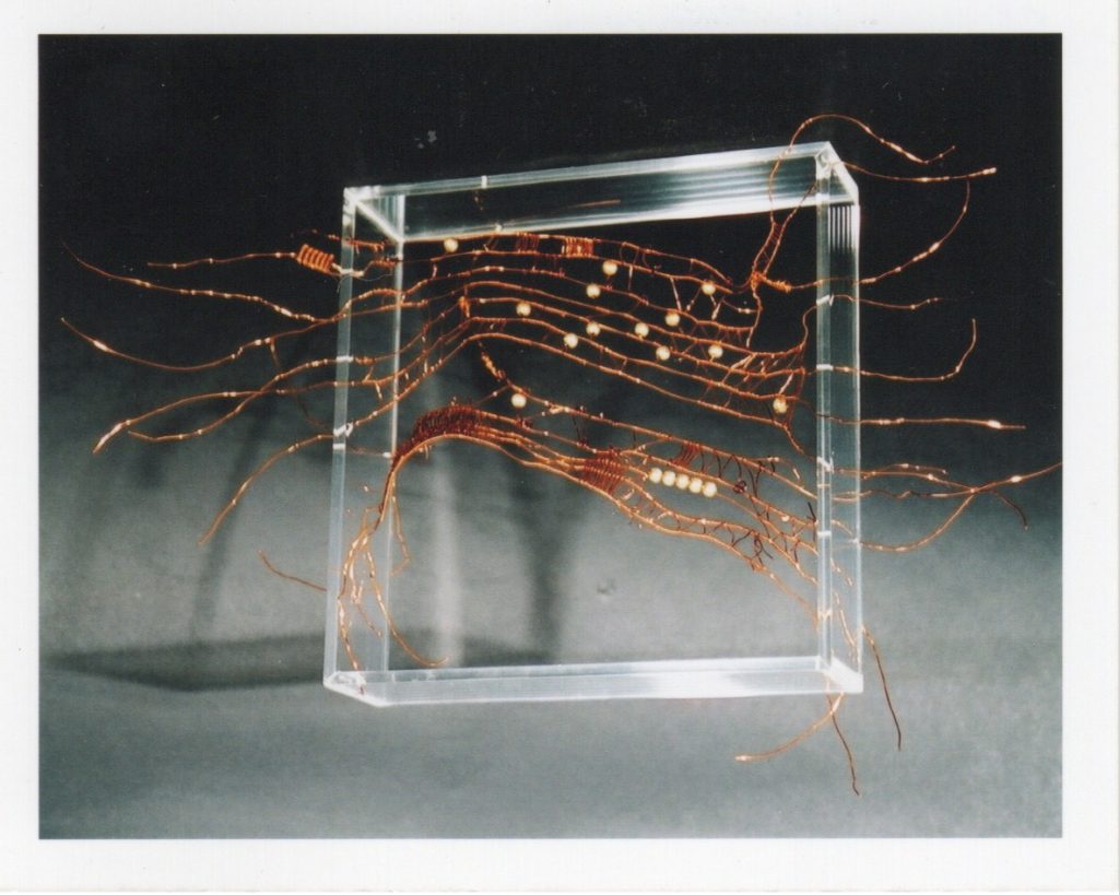 Lamis Feldman, Serie Escrituras entretejidas, 2002. Fotografías de Charlie Riera y Reinaldo Armas