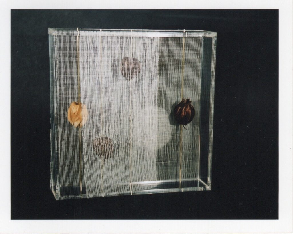 Lamis Feldman, Serie Escrituras entretejidas, 2002. Fotografías de Charlie Riera y Reinaldo Armas