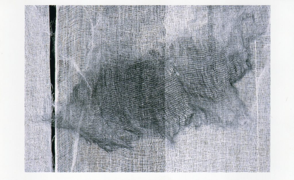 Lamis Feldman, Kimono (detalle), circa 2002