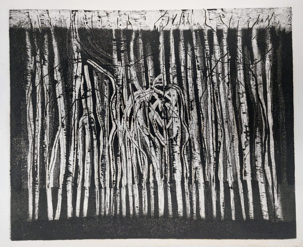 Maruja Rolando. Selva, 1966. Aguafuerte y aguatinta. 25 x 32,5 cm.
