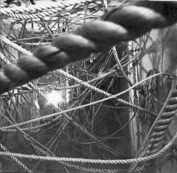 Ana María Mazzei, tercer ambiente de la instalación Piel a piel, obra con la que Venezuela participara en la 12ª Bienal de São Paulo (1973). Tomado de: Piel a piel [catálogo de exposición]. Caracas, Instituto Nacional de Cultura y Bellas Artes INCIBA, 1973