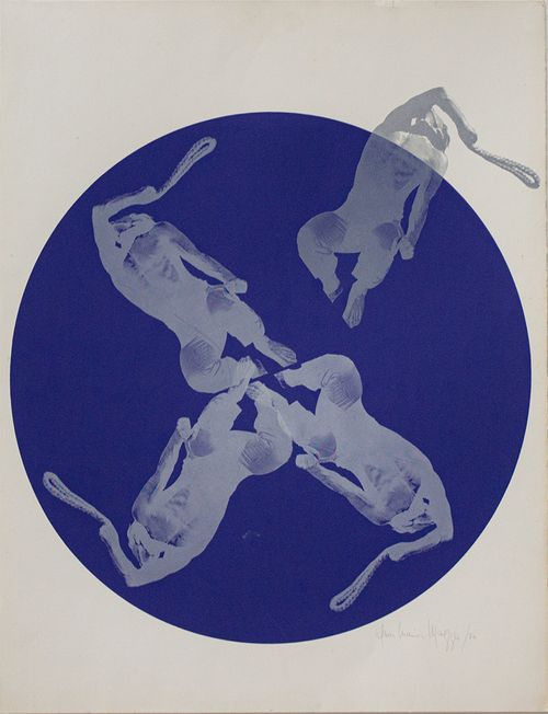 Ana María Mazzei. Sin título, 1970. Serigrafía sobre papel. 73 x 58 cm