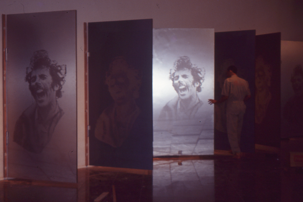 Ana María Mazzei. Ámbito. Serigrafía y esmalte sobre 14 puertas de madera revestida con fórmica aluminizada. 244 x 122 cm c/u, Galería Uno, Las Mercedes, Caracas, década de los noventa.