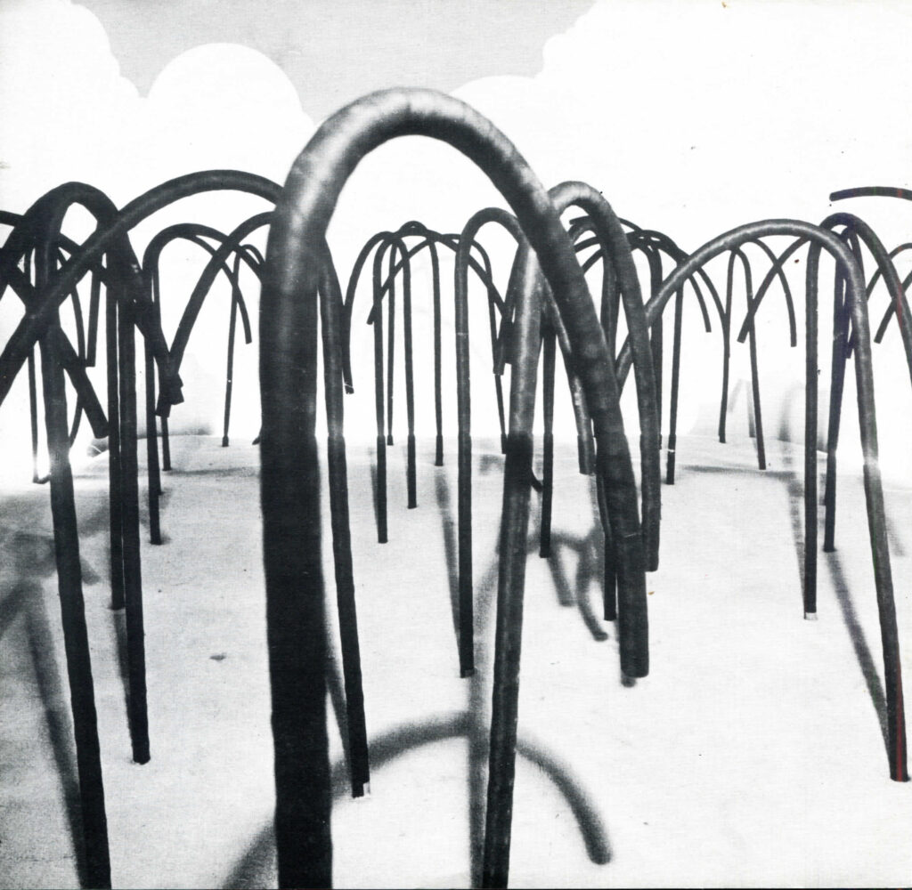 Piel a piel. 12ª Bienal de São Paulo [catálogo de exposición]. Caracas, Instituto Nacional de Cultural y Bellas Artes, 1973.
